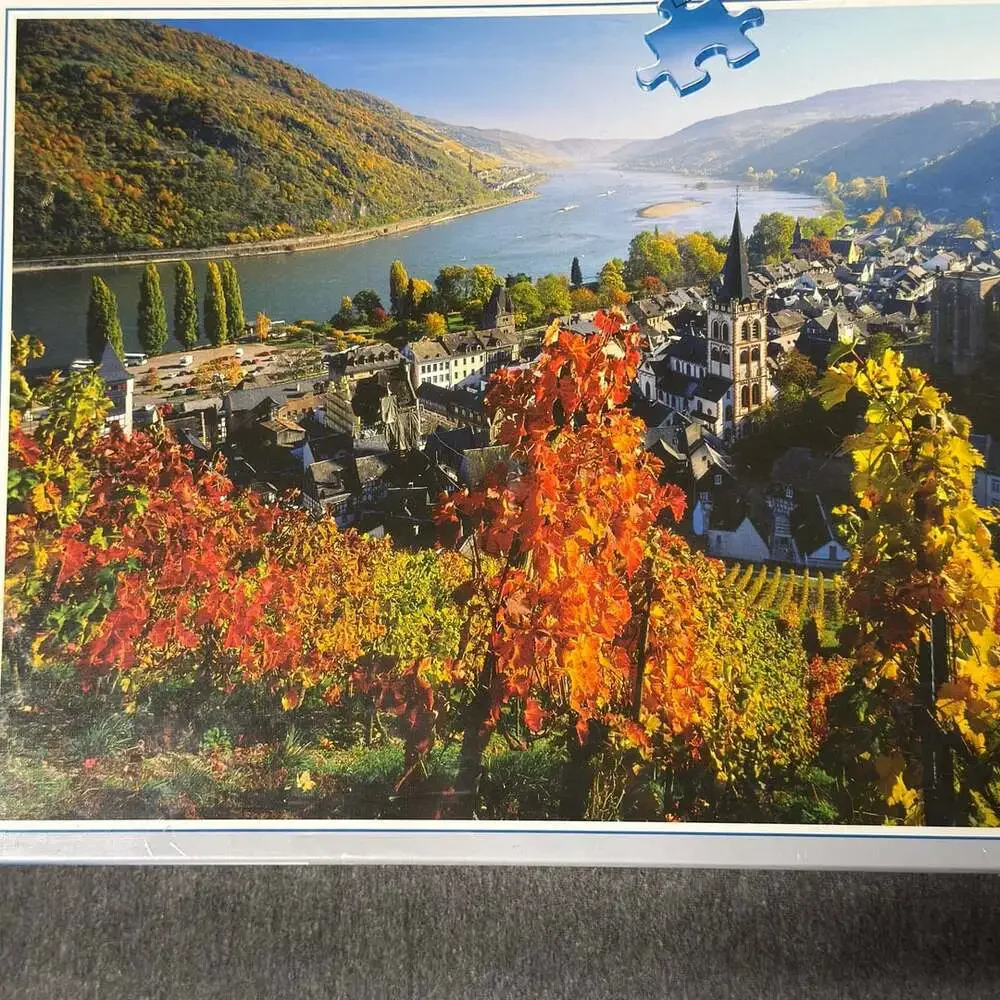 Ravensburger On The River Rhine 1000 Piece Jigsaw Puzzle